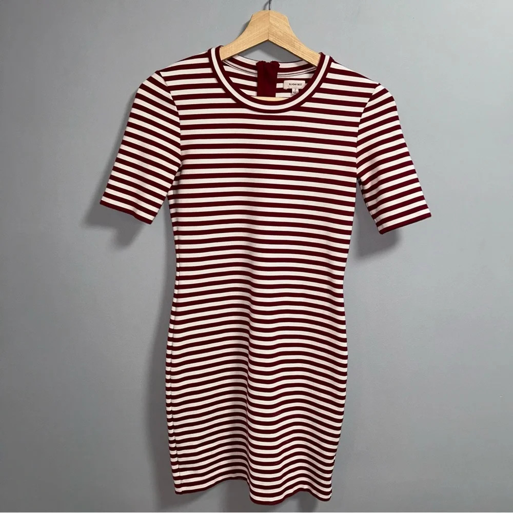 Aritzia - Sunday Best Dress